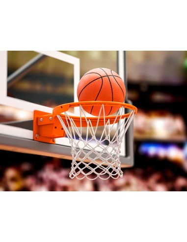 BASKETBALL NETS COMPETITION