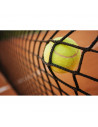 Networks Tennis / Paddle tennis